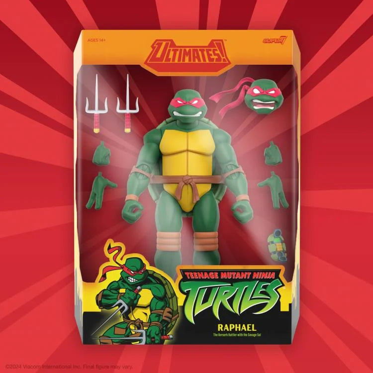 Teenage Mutant Ninja Turtles ULTIMATES! Raphael (2003 Animated Series) Action Figure